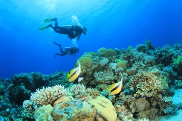 Selbstklebende Fototapete Tauchen Tauchen am Korallenriff
