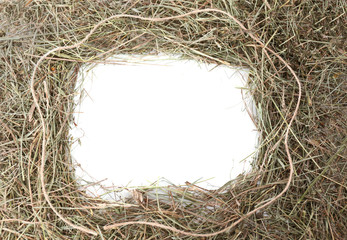Hay with white background