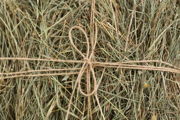 Hay, close up