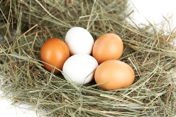 Eggs on hay, close up