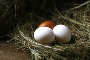 Eggs on hay, on brown background