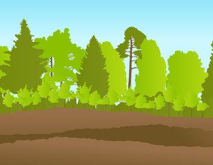 Forest in summer vector background landscape