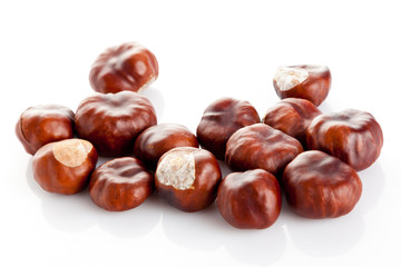 Chestnut on white background