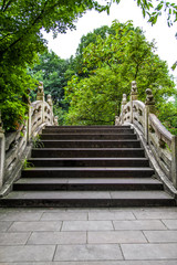 Bridge