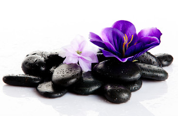 Black massage stones isolated