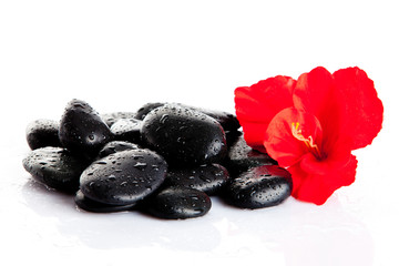 Fototapeta na wymiar Black massage stones isolated