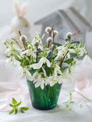 Snowdrops