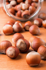 Hazelnuts close-up