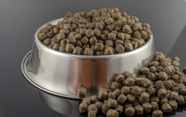 dogs food