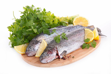 raw fish