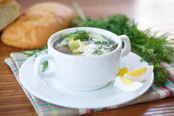 sorrel soup
