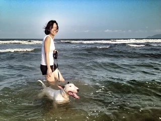 Foto op Plexiglas Asian woman and bull terrier on ter beach © jhk2303