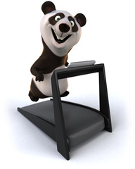 Panda © Julien Tromeur