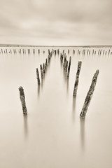 Poles in the water -  silence concept - 62813067