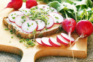 Frühjahrskur - frische Radieschen mit Vollkornbrot © Johanna Mühlbauer
