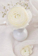 Obraz na płótnie Canvas White ranunculus flower on a white fabric background