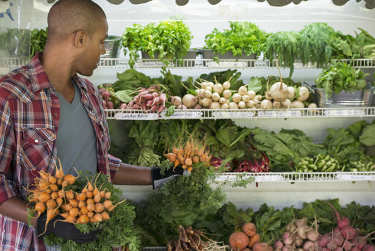 A farm stand with rows of freshly picked vegetables for sale. A man holding bunches of carrots.