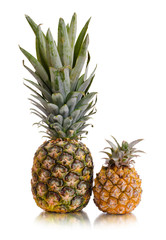 Obraz premium pineapple