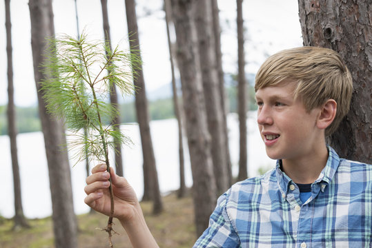 A boy standing among trees on the shore of a lake.