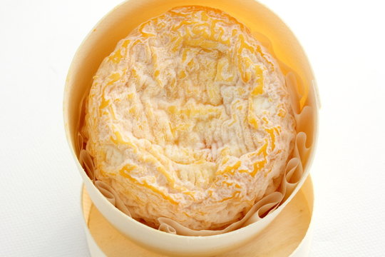 Gros plan sur le fromage