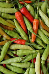 Green and red chili pepper