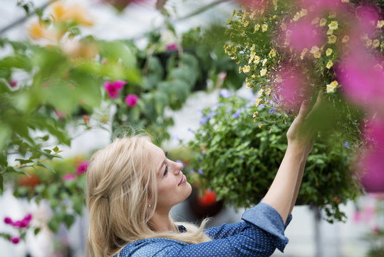An organic flower plant nursery. A woman working.