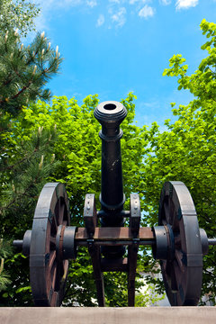 Old Cannon Gun