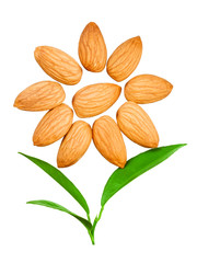 Almonds in the shape of a sun with a leaves