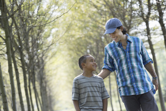 A man and a young boy walking down an avenue of trees. 