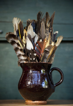 A collection of bird feathers in a brown pottery jug on a shelf. 