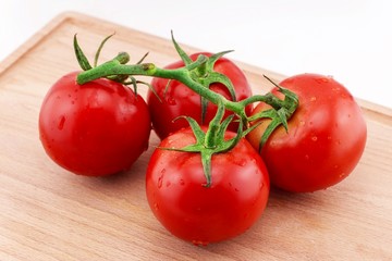 tomatoes on a branch