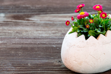 Osterei Vase mit Blumen