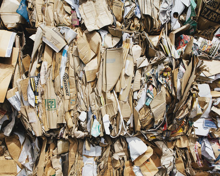 Recycling facility with bundles of cardboard sorted and tied up for recycling. 