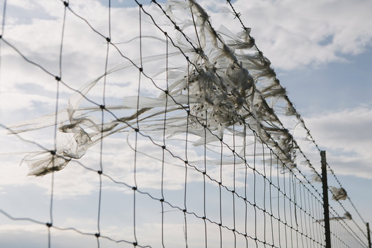 A shredded plastic bag caught on barbed wire fence