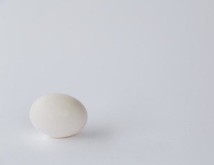 A single free range organic egg with a white shell against a white background.  