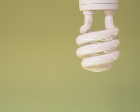 An energy efficient compact fluorescent light bulb, a CFL, with a curled element. A light green background.