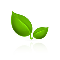 Green leaves icon.