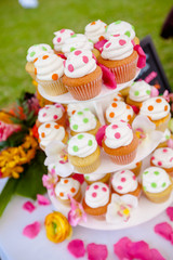 Colorful wedding cupcakes tier