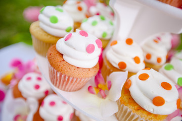 Colorful wedding cupcakes tier