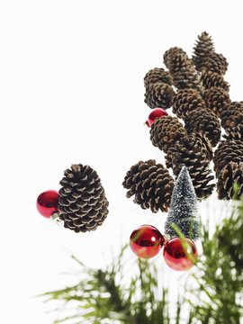 Still life. Green leaf foliage and decorations. A pine tree branch with green needles. Christmas decorations. Pine cones and small red shiny ornaments.