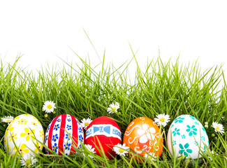 Easter Eggs with flower on Fresh Green Grass over white backgrou