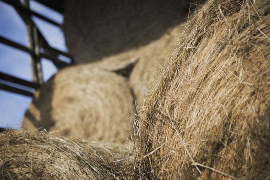Hay, dried grass and animal fodder, bales stacked in a barn on an organic farm.