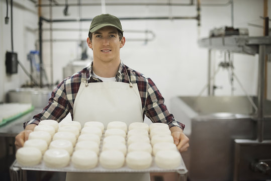 A small organic dairy farm with a mixed herd of cows and goats. Dairy building with large wheels of cheese maturing. Trays of produce.