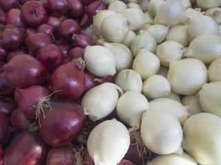 Red and white onions