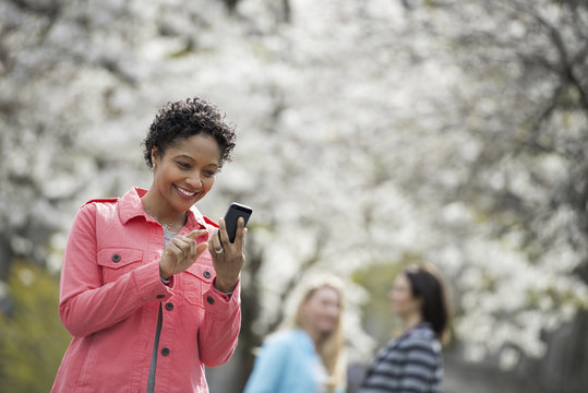 People outdoors in the city in spring time. White blossom on the trees. A young woman checking her cell phone, and laughing.