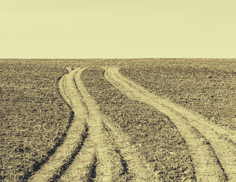 Fresh tire tracks on farmland, near Pullman