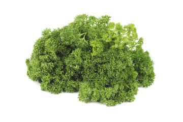 Obraz premium parsley