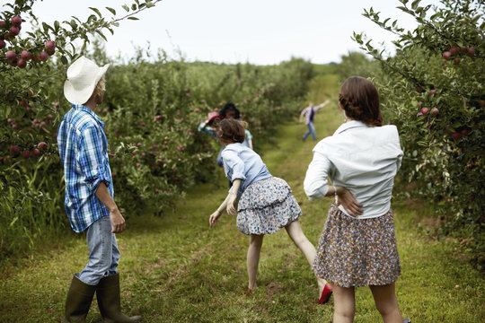 Rows of fruit trees in an organic orchard. A man and three young women throwing fruit at each other.