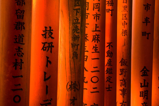 Torii gates, Fushimi Inari Shrine, Kyoto, Honshu, Japan