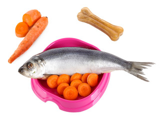 Natural food for pets in plastic bowl isolated on white